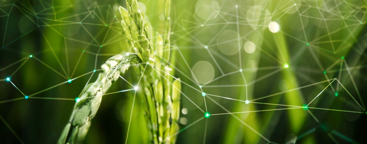 АгроТрейд48