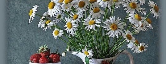 НАТАЛЬЯ АЛЁШИНА МОМЕНТЫ СЧАСТЬЯ ❤️❤️❤️