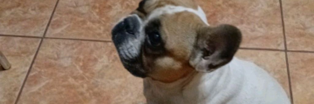 Жаклин Приколы