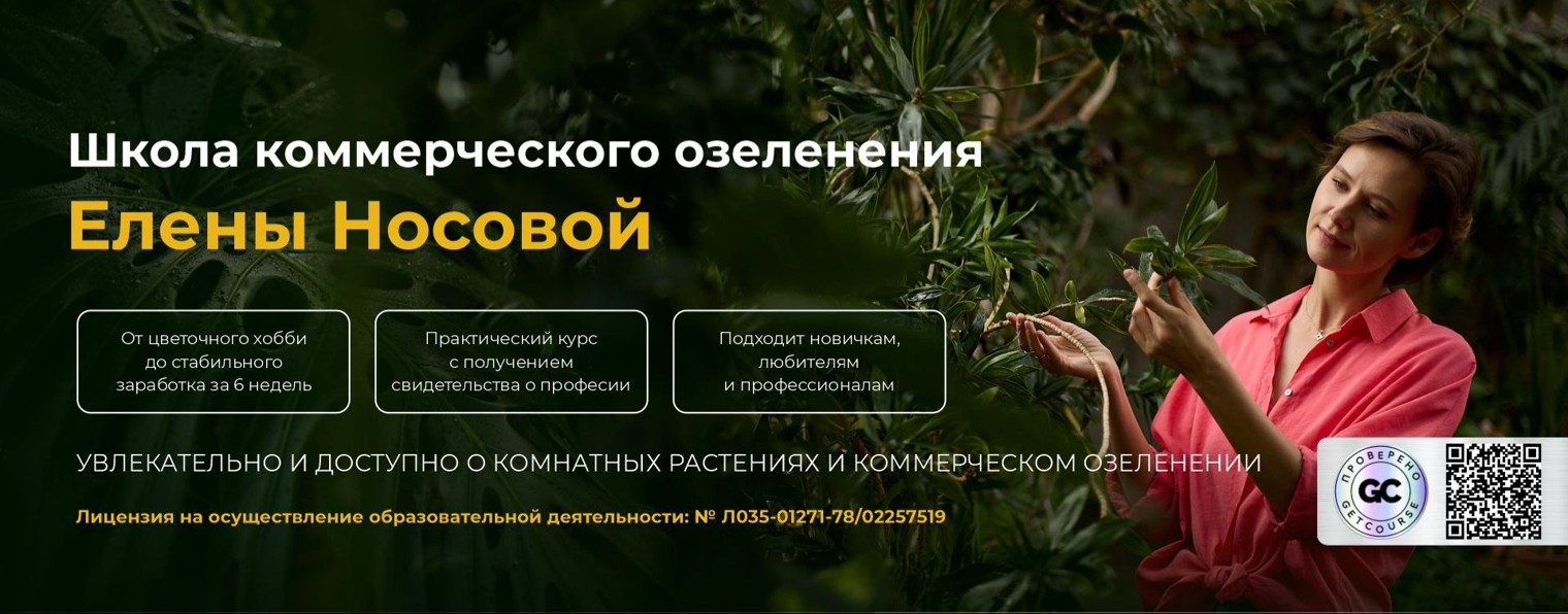 Елена Носова|озеленение