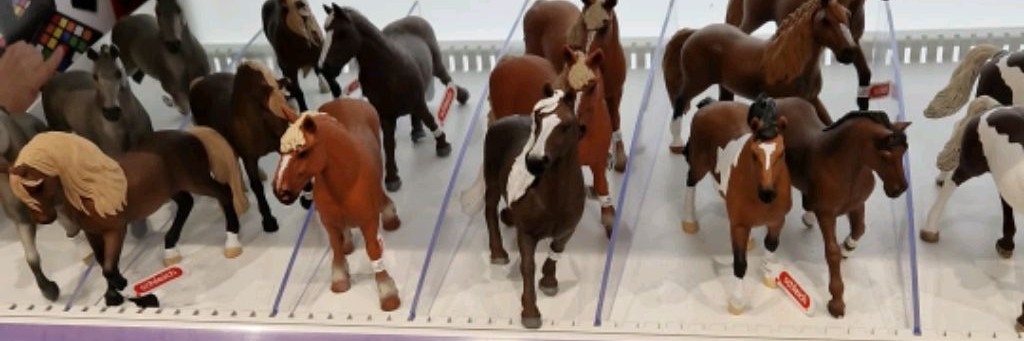 Nika Schlich 🐎🌹