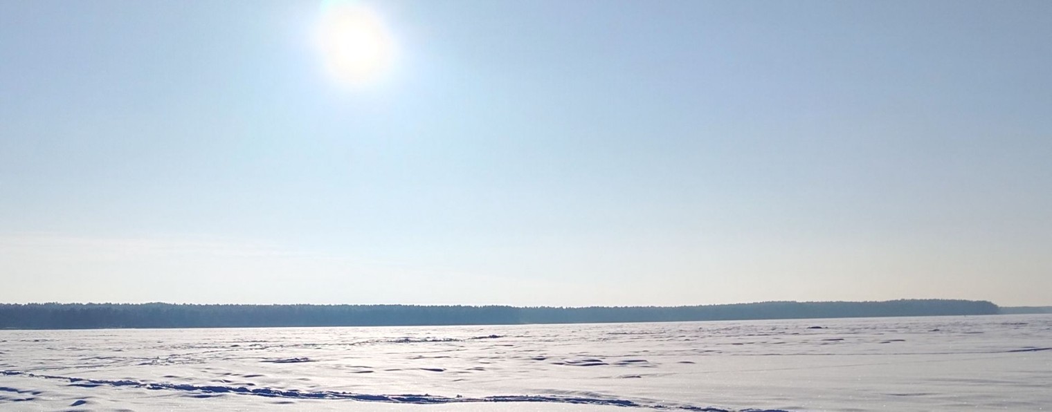 Каждому свое