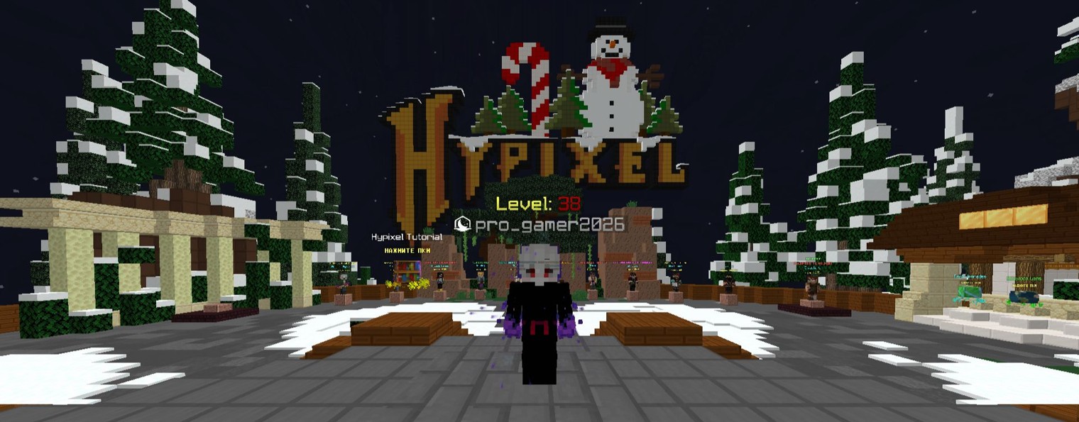 pro_gamer2026