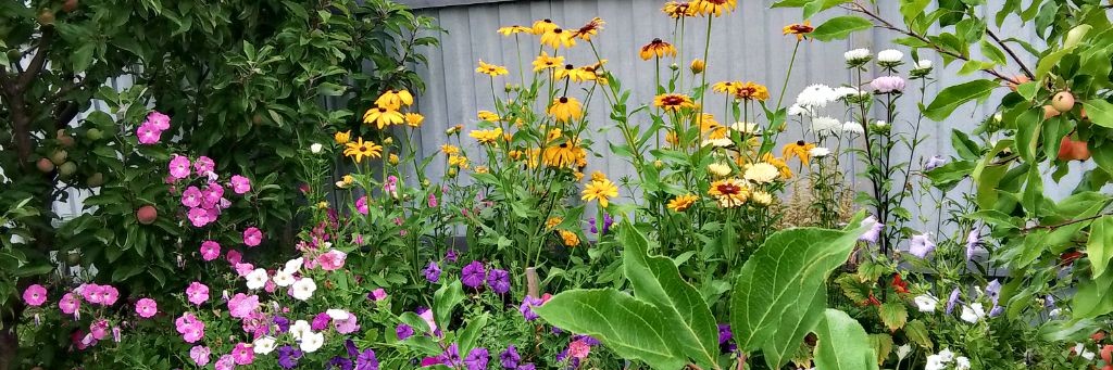 Жизнь С Удовольствием