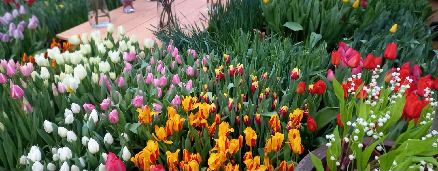 Городские напевы