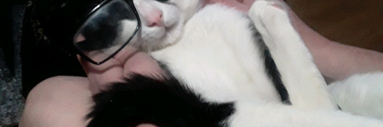 Антипов Шоу