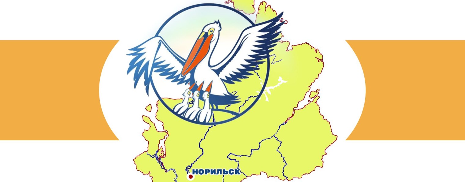 Учитель года_Норильск