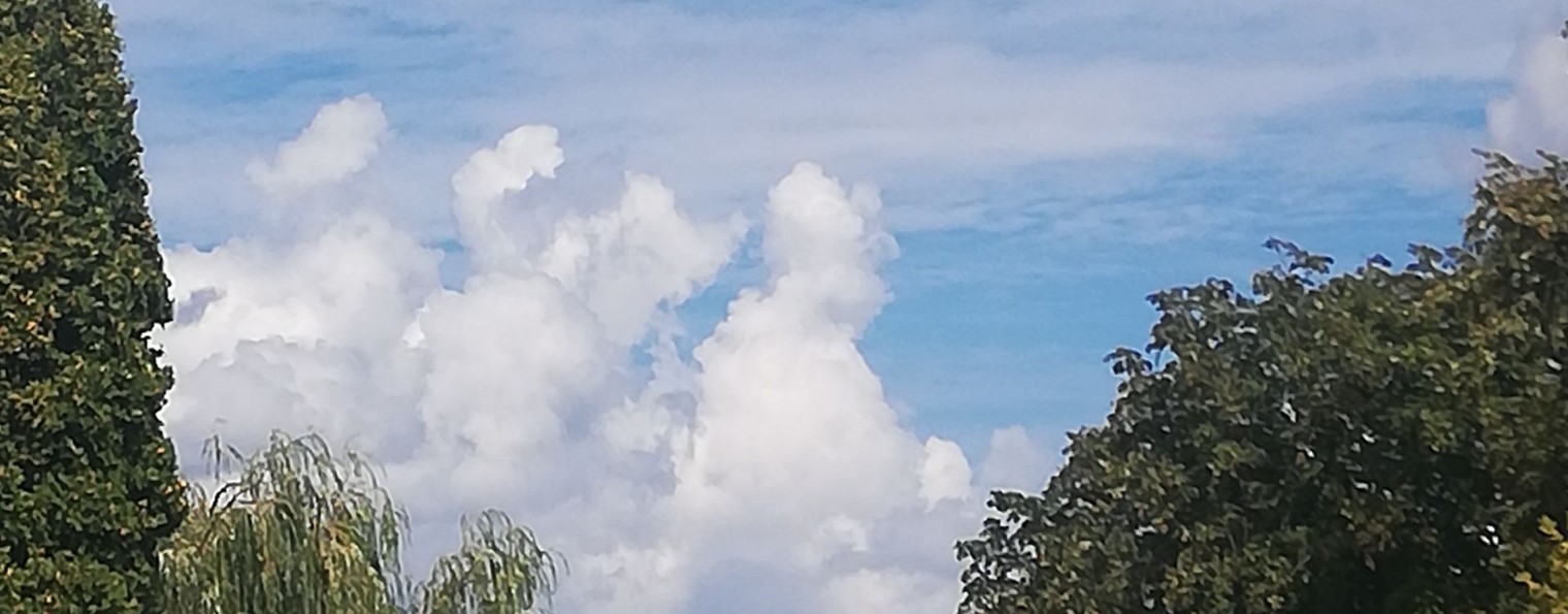 Ольга Ерёма