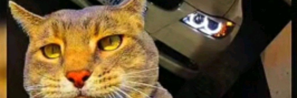 Бадрук плей и хома