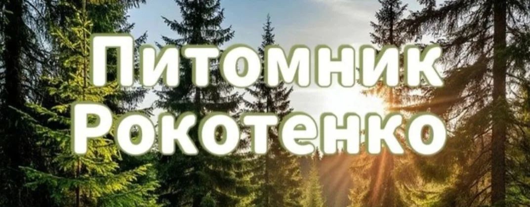 Питомник Рокотенко