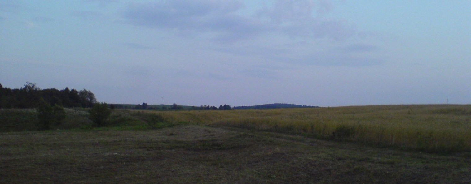 Владимир Плотников