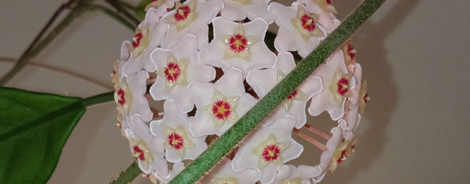 Василий aka fil2006k Биосферный