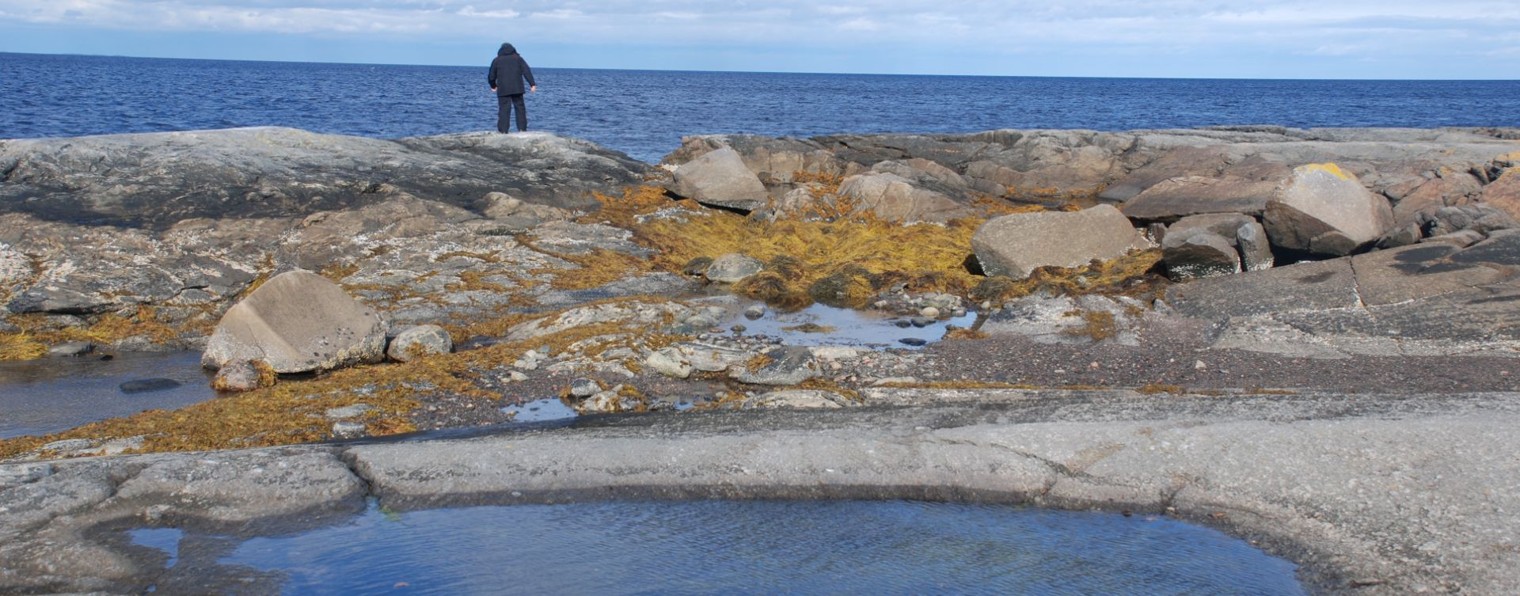 Владимир Лизунов