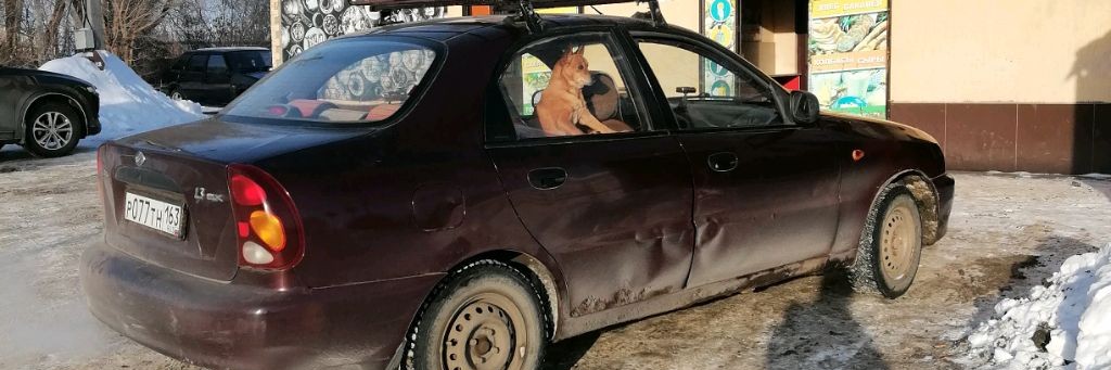 Российский Медведь