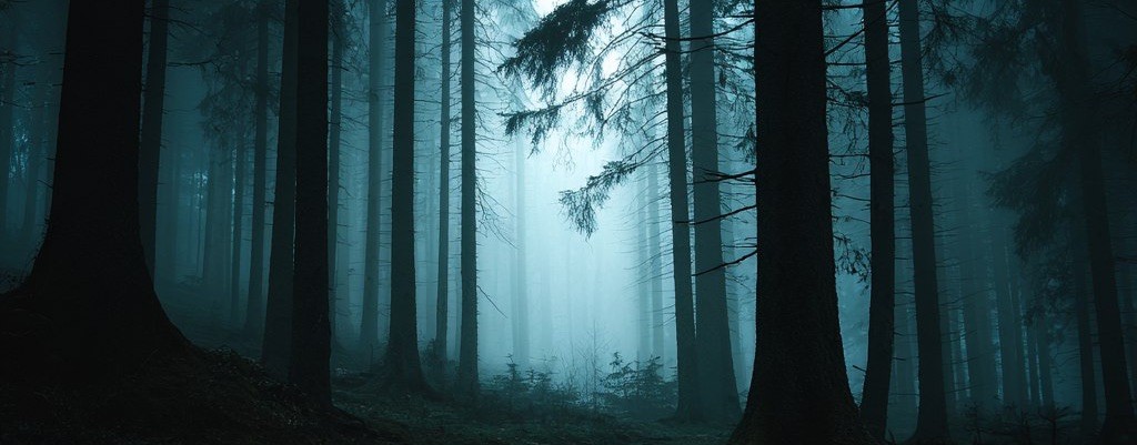 13 Аркан | Таро расклады