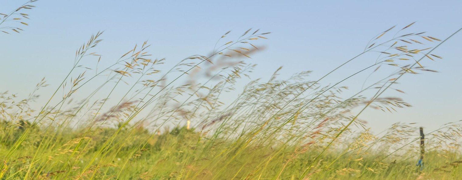 Снимающий и Постигающий