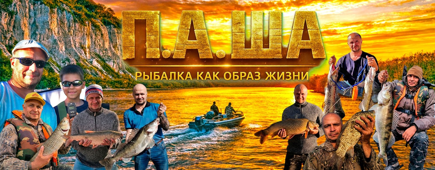 pasharybalka