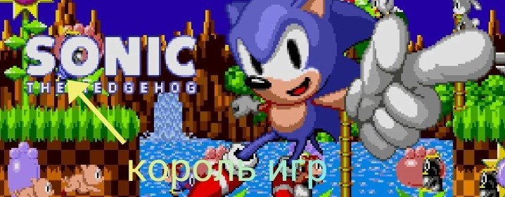 соник король игр