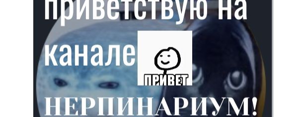 NERPITANIUM...[🍆👍]