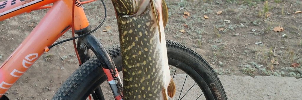 Начинающий рыболов