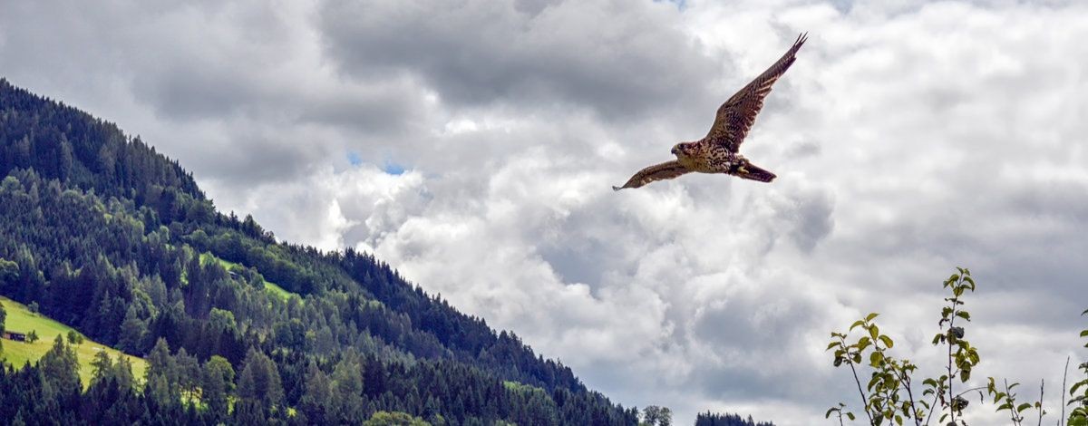 Уральская семья