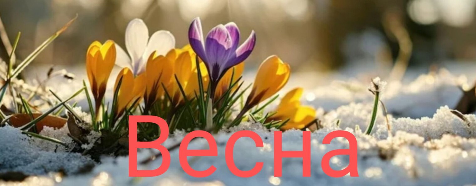 Фокс рутубер