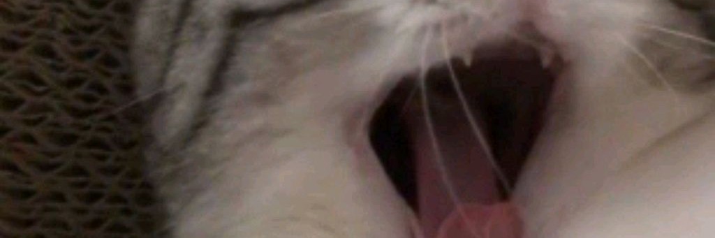 Красная Кнопка✅