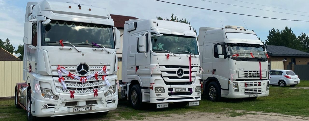 Cвета DIESEL 761