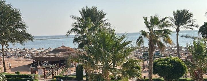 РЕГИОН 55-72 💫