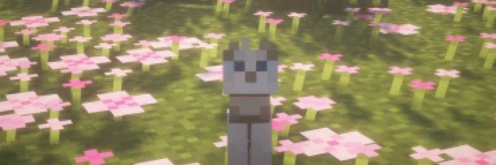 🌤️𝐅𝐚𝐦𝐞𝐥𝐢 𝐂𝐚𝐫𝐨𝐥𝐢𝐧𝐞🎀