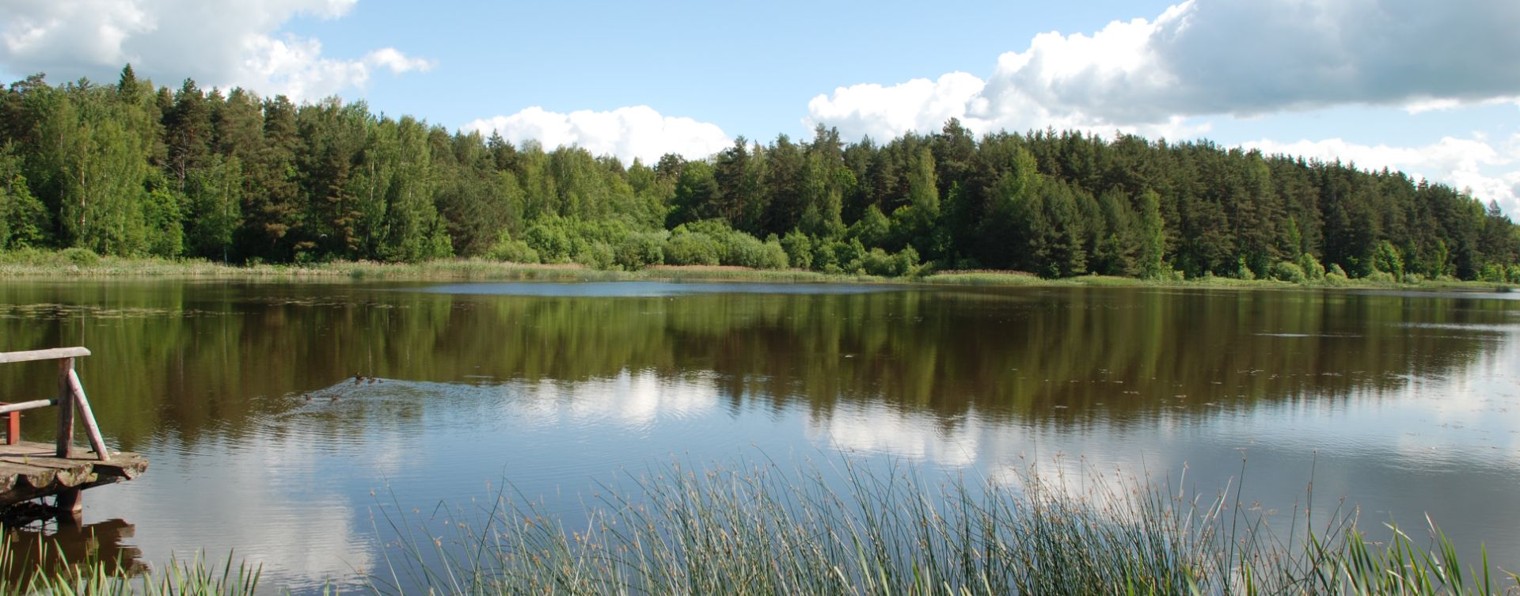 Медиашкатулка