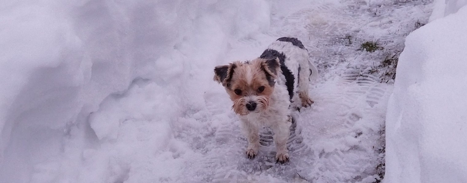 Поживём- Увидим