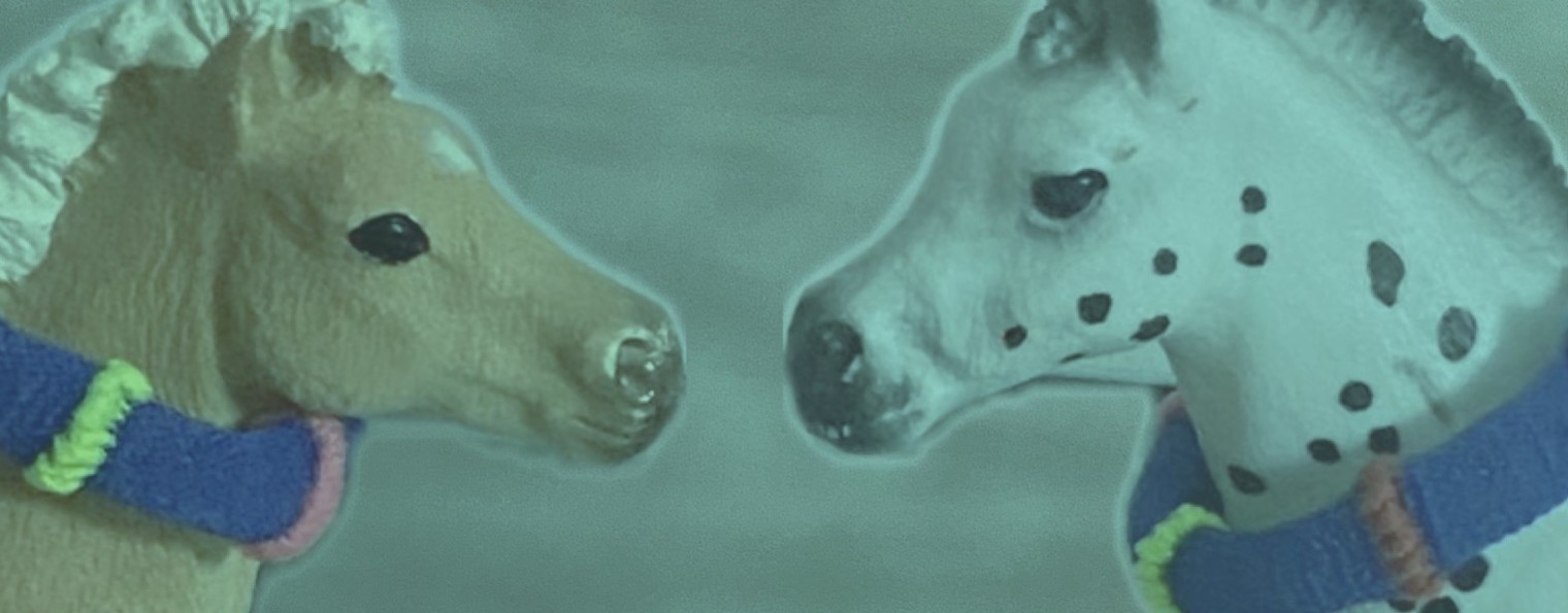 КСК север ( лошади шляйх )