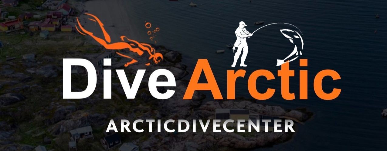 DiveArctic
