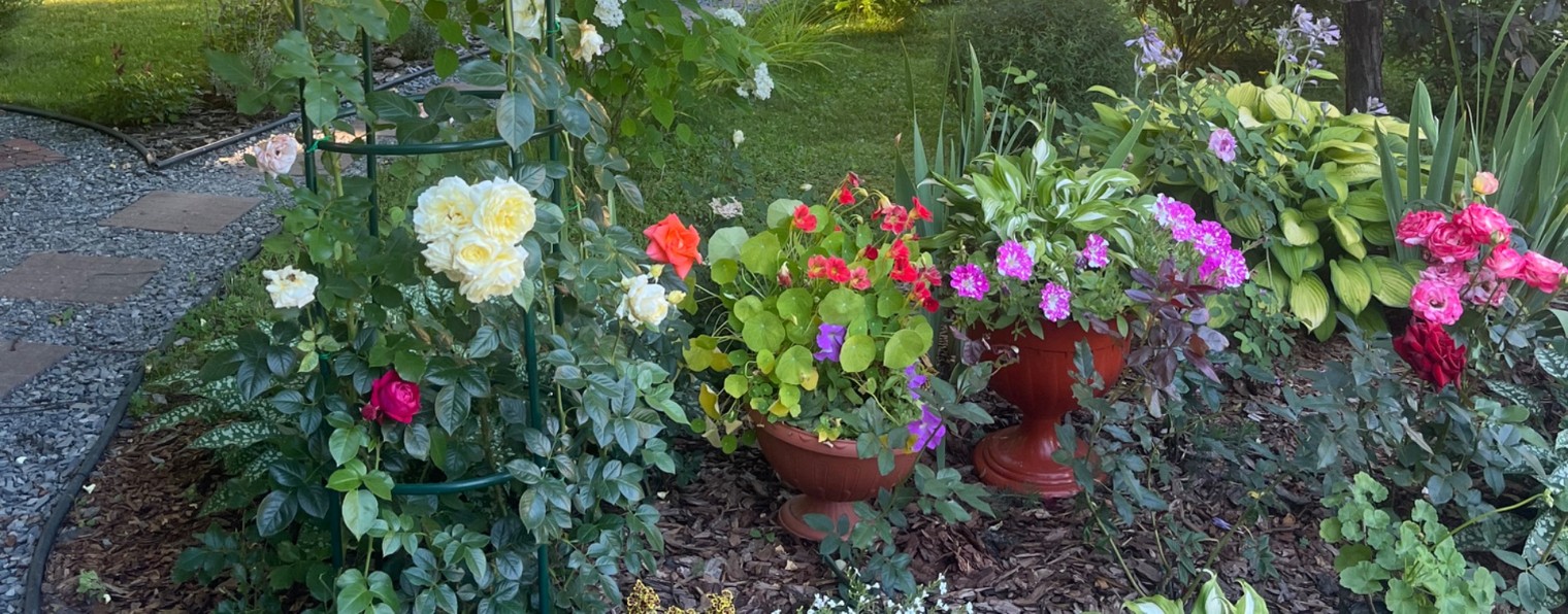 МойСадОгород