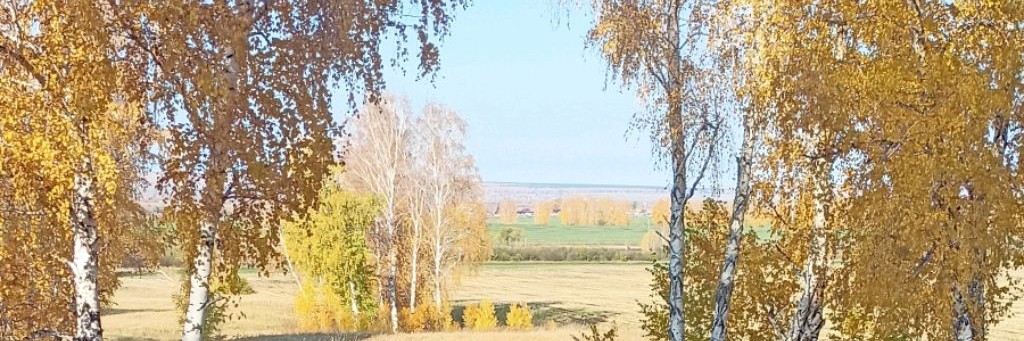 Провинциальная жизнь!