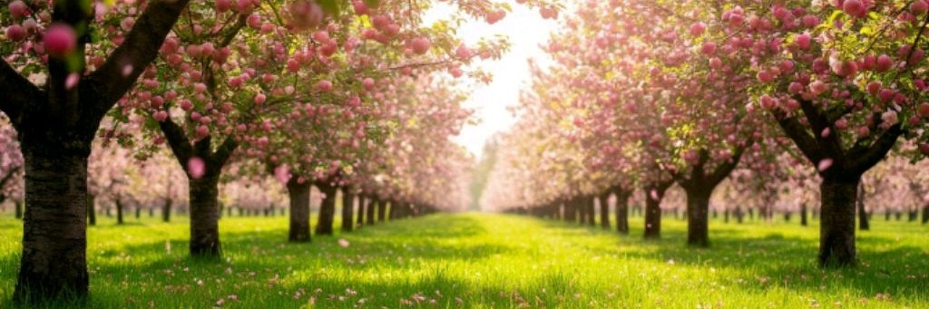 ☀️Маленький Дом У Реки☀️