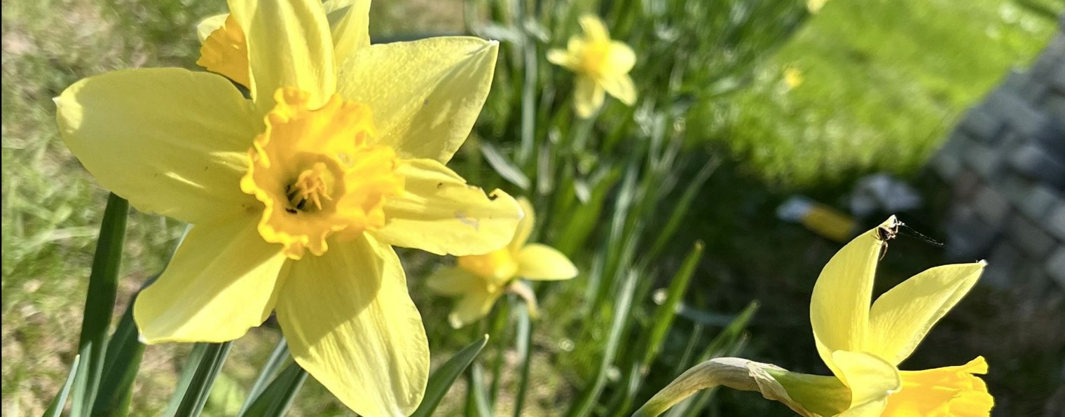 Ждём летних дней