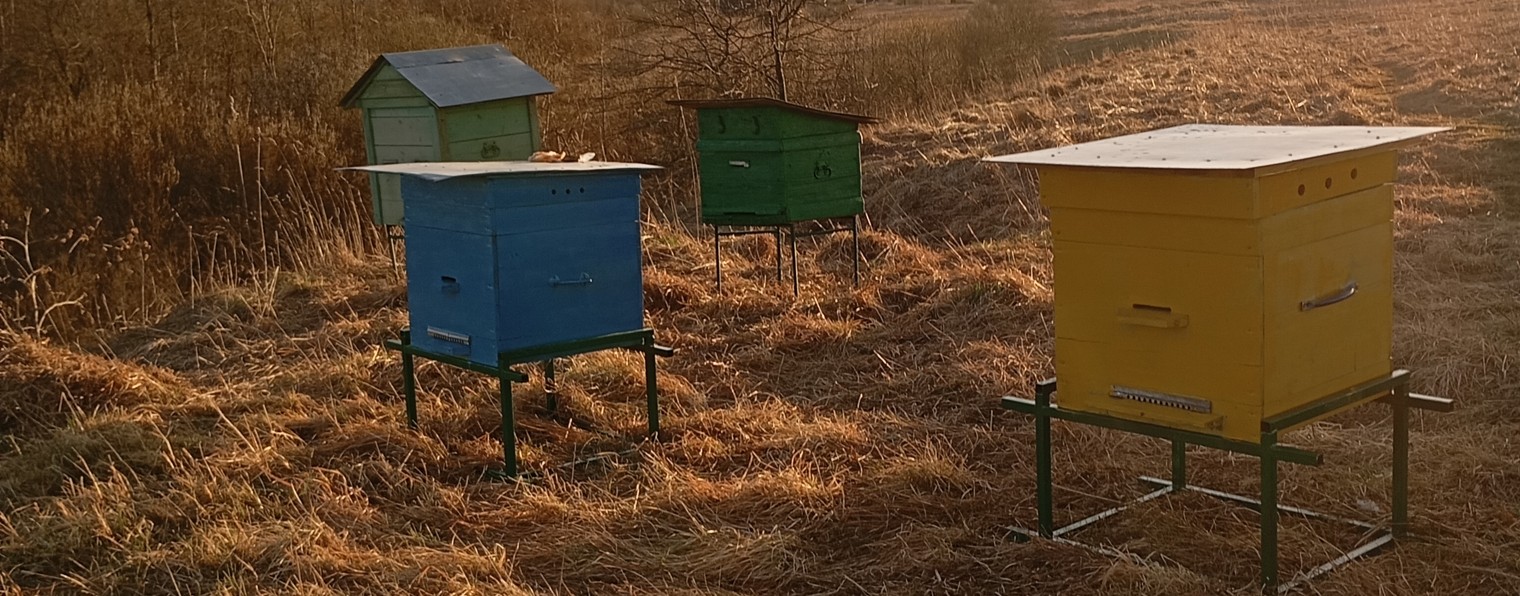 Пасека Егора