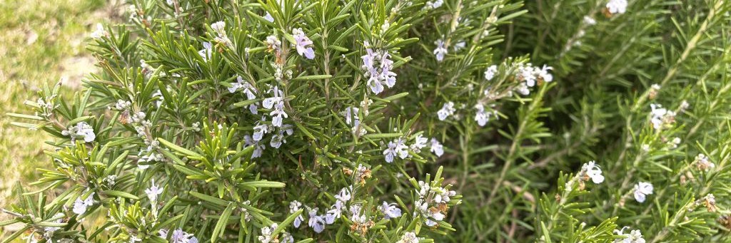 Жить в Крыму