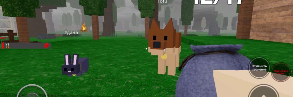 Роблокс Ниндзя / Robloxninja✓