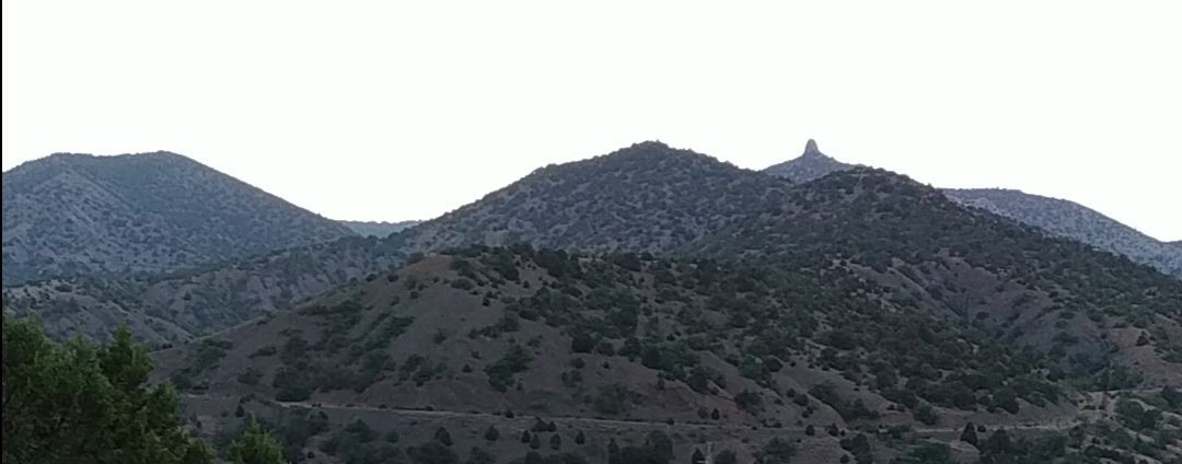 Белый Воробей