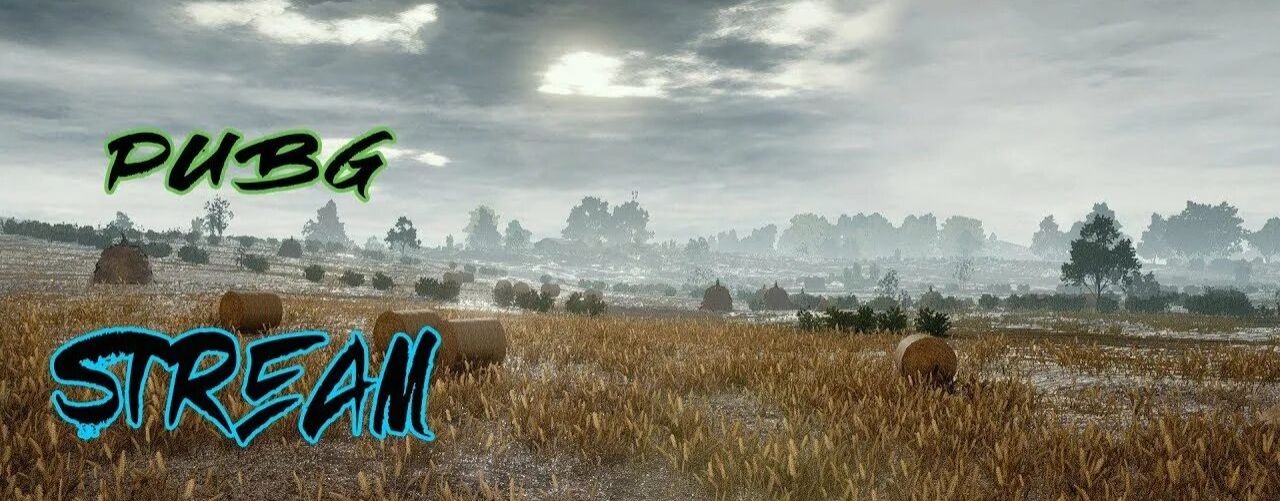 Дмитрий Чевелев