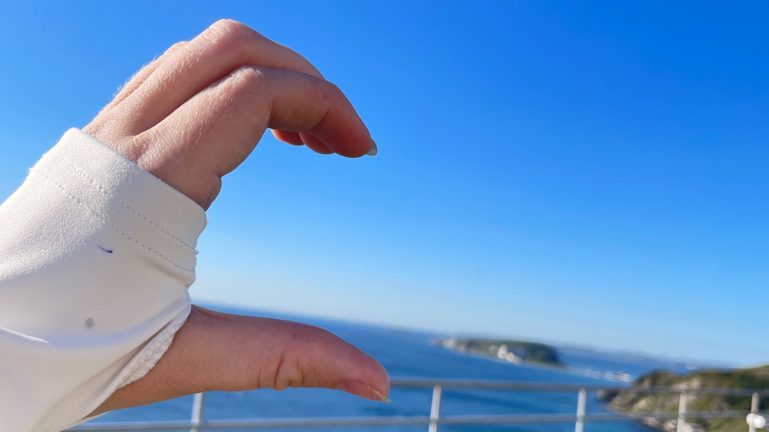 Шаламовы Life