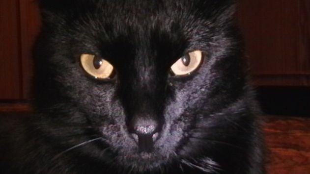 Недвижимость СПб. АГБ.