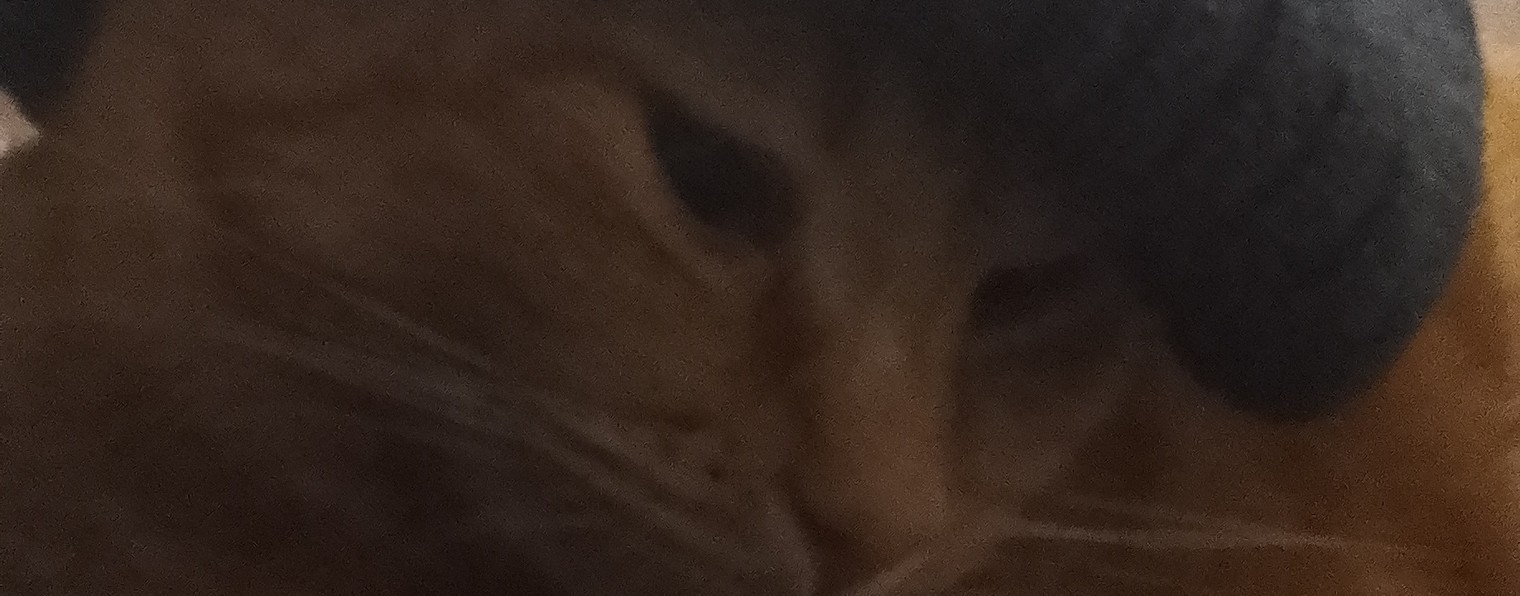 романыч пончанычь