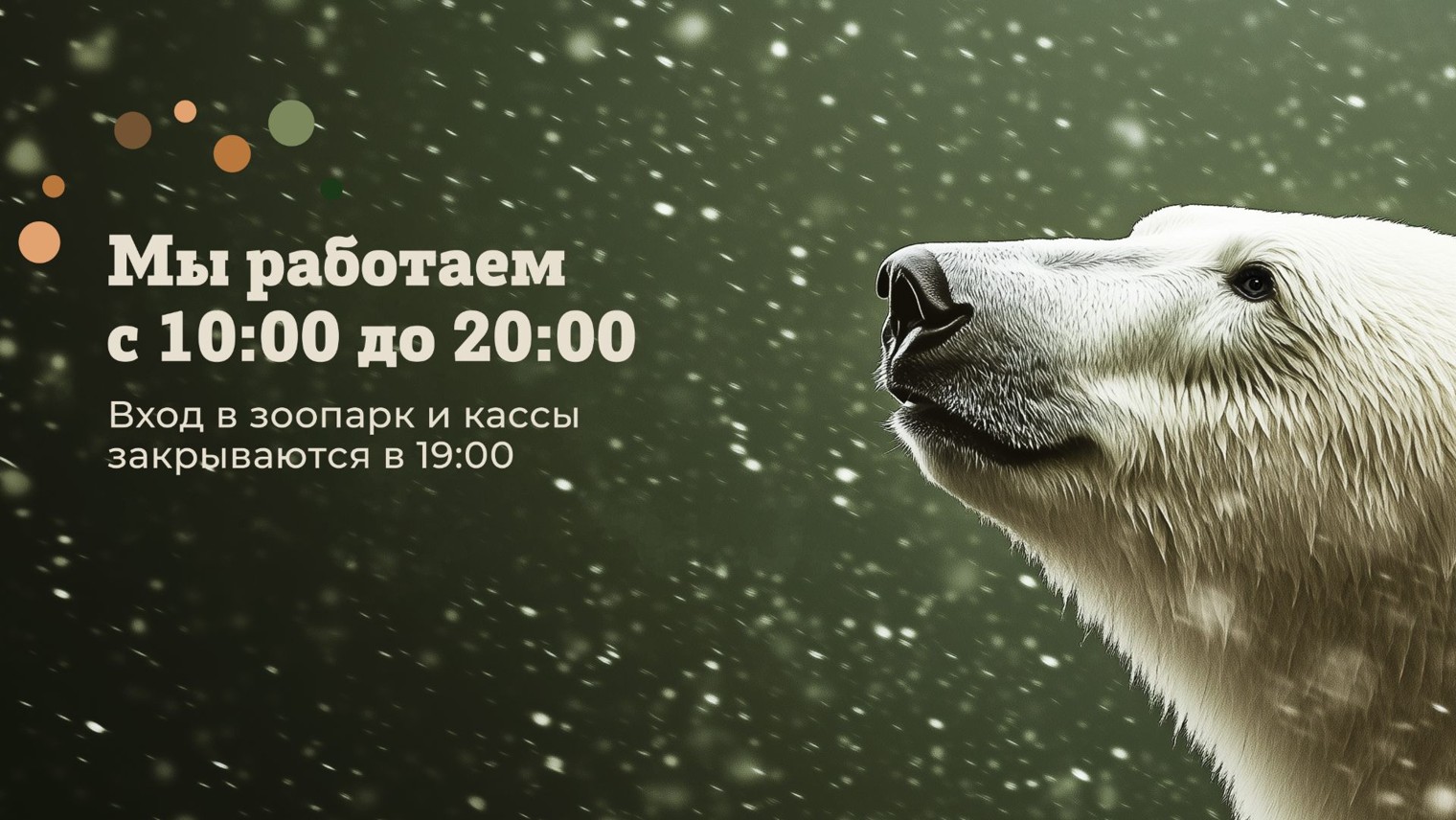 Ленинградский зоопарк