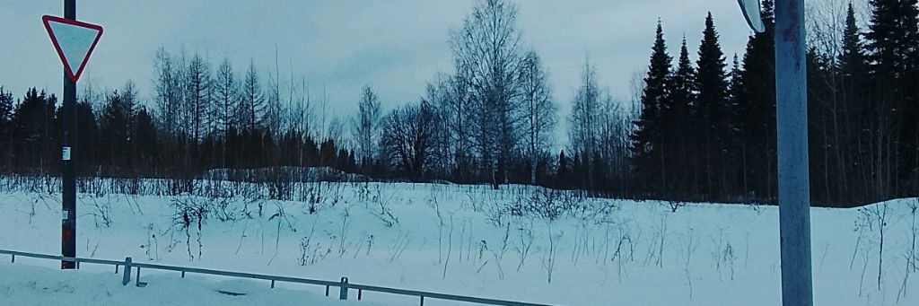 Харли Сойер