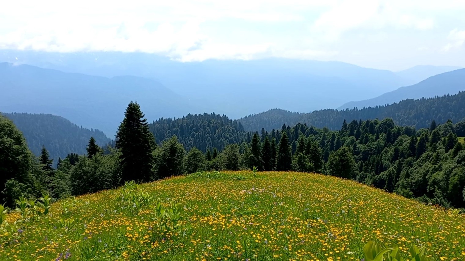 Лада_Творческий поток