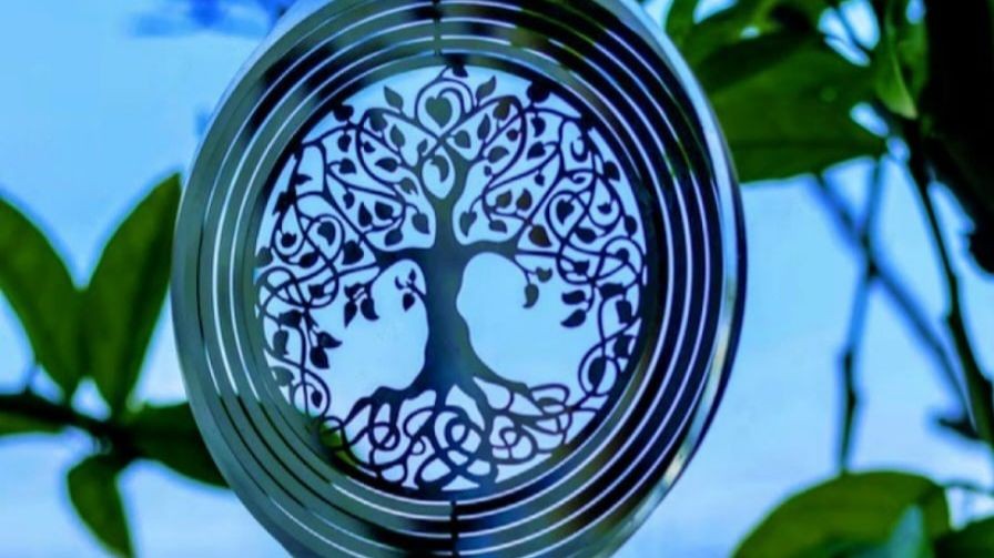 Integral Sveta Academy